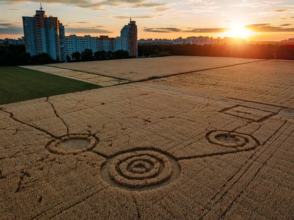 Cercle Mystérieux Dans Champ Avoine Près Ville Coucher Soleil Soir — Photo