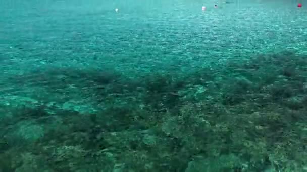 Ajia Napa Cypr Września 2018 Plaży Nissi Jest Słynnej Piaszczystej — Wideo stockowe