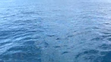 Kristal berraklığında Akdeniz Kıbrıs Adası yakınlarında