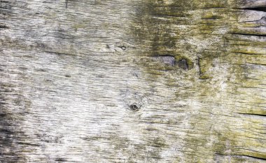 Eski tuğla duvar. Kapat.