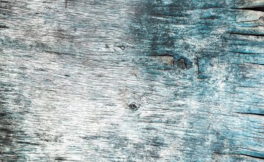 Eski kurutulmuş kontrplak, makro