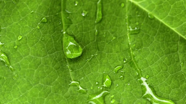 Gotas Una Escalera Verde —  Fotos de Stock