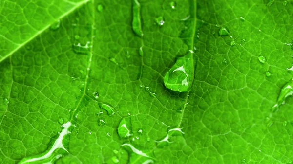 Drops Green Staircase — Stock Photo, Image