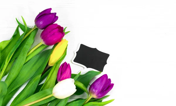 Blommor Vit Bakgrund — Stockfoto