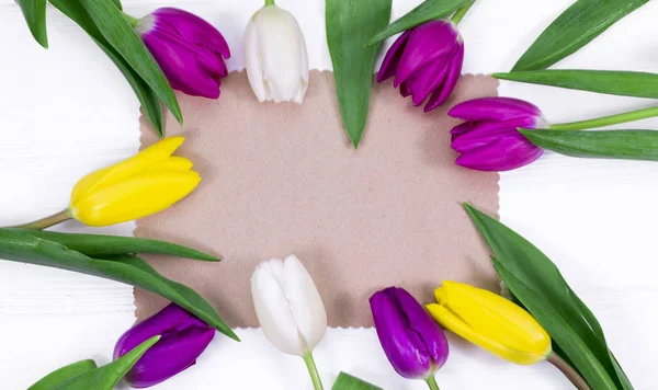 Färg Blommor Nära Typ — Stockfoto