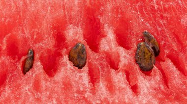 karpuz ve tahıllı arkaplan