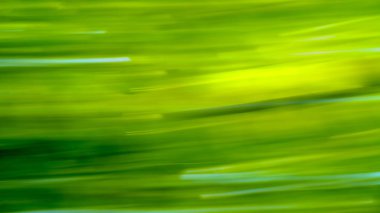 Yağlı renkli arkaplan kapat