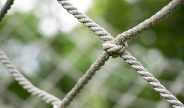 Büyük bağlanmış makro ağ