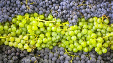 yeşil ve mavi üzümler