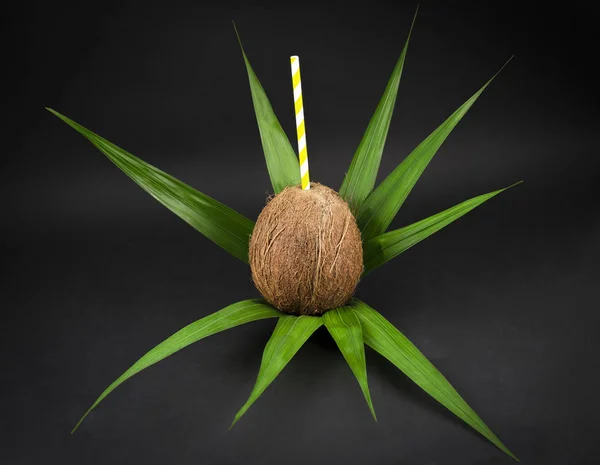 在黑色背景上有稻草的椰子 — 图库照片