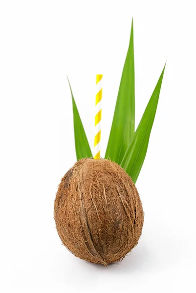 Kokosnöt Med Halm Vit Bakgrund — Stockfoto