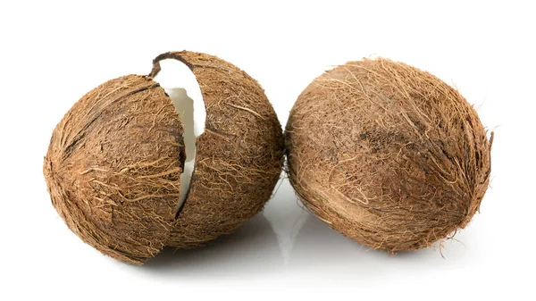 在白色背景上的椰子 — 图库照片
