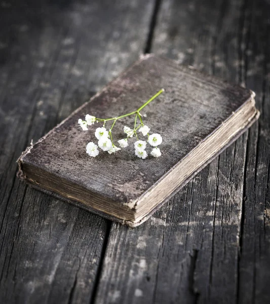 Old book and flower branches