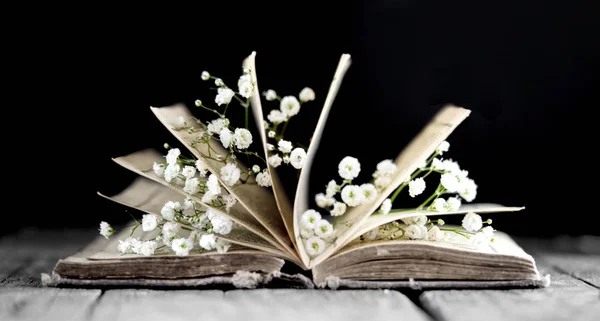 Oude Open Boek Bloemen — Stockfoto