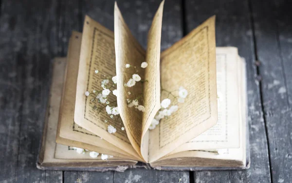 Old Open Book Flowers — Stock Photo, Image