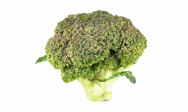 Kål Broccoli Vit Bakgrund — Stockfoto