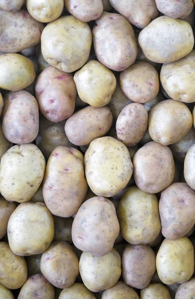 raw big potatoes close up