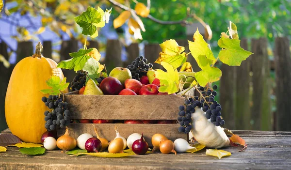 Frutas Legumes Fundo Madeira — Fotografia de Stock