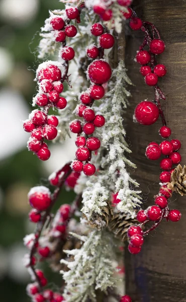 Caroço Viburno Com Neve — Fotografia de Stock