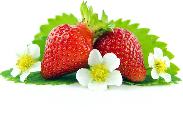 Strawberry Pada Latar Belakang Putih — Stok Foto