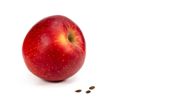 Κόκκινο Μήλο Και Τους Σπόρους Λευκό Φόντο — Φωτογραφία Αρχείου