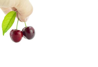 Erkek holding kiraz beyaz arka plan üzerinde parmak.