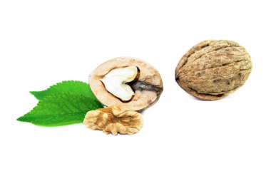 beyaz arkaplanda ceviz