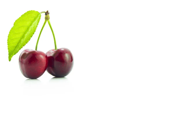 Two Cherries White Background — Stock Photo, Image