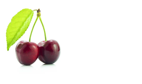 Two Cherries White Background — Stock Photo, Image