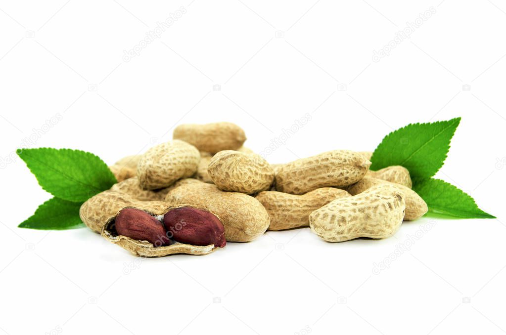 Nuts on white background