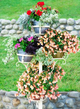 Parlak güneşin altında sergilenen plastik kaplarda güzel renkli petunya çiçekleri olan metal katmanlı raflar..