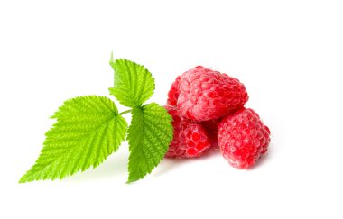 Beyaz arkaplanda taze ahududu