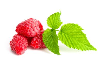 Beyaz arkaplanda taze ahududu