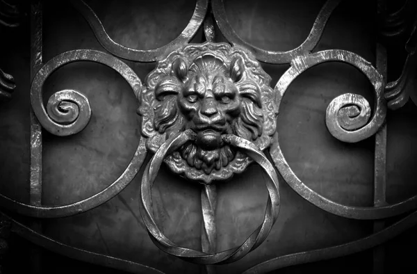 Forged Handle Metal Gate Shape Lion — Stock Photo, Image