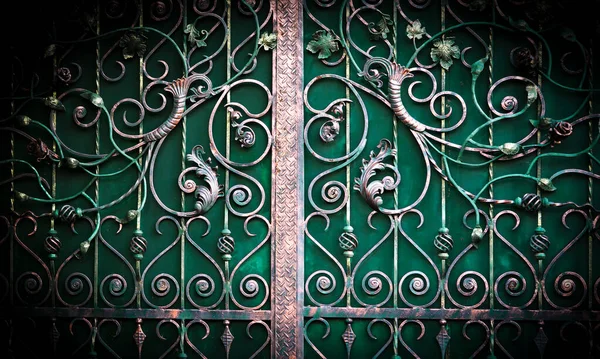 Decorativo Hermoso Elemento Acabado Puerta Metal Forjado — Foto de Stock