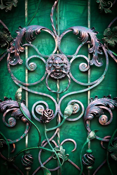 Железная Дверь Черной Кованой Решеткой Рукояткой Виде Головы Льва — стоковое фото