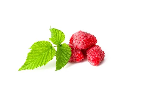 Fresh Raspberry White Background — Stock Photo, Image