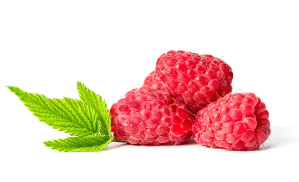 Raspberry White Background — Stock Photo, Image