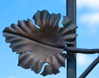 Mavi gökyüzüne karşı dövülmüş yaprak