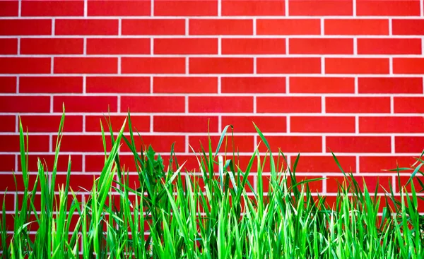 レンガの壁の背景にある緑の草 — ストック写真