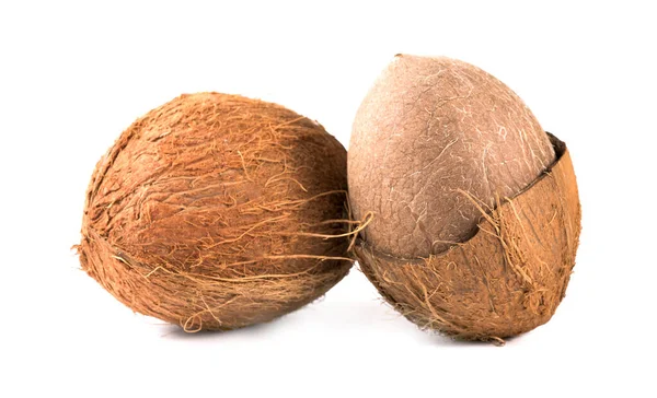 Kokosnötter Vit Bakgrund — Stockfoto