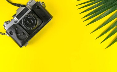 Düz yeşil palmiye yaprakları ve sarı arka planda gezgin aksesuarları vardı. seyahat kavramı