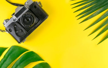 Düz yeşil palmiye yaprakları ve sarı arka planda gezgin aksesuarları vardı. seyahat kavramı