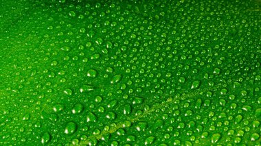Yeşil bir yaprağın üzerine bir sürü damla