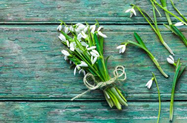 Tahta arka planda bir buket kar damlası.