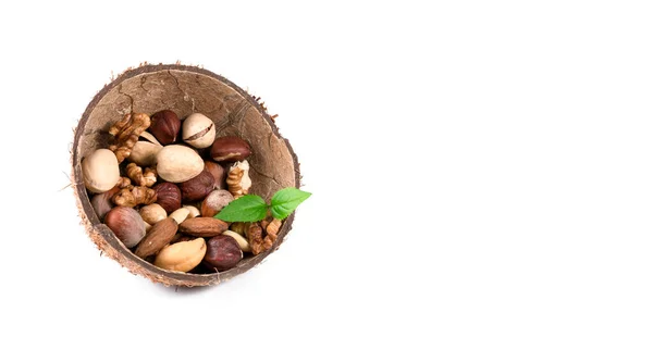 Různé Ořechy Kokosové Kůře Bílém Pozadí — Stock fotografie