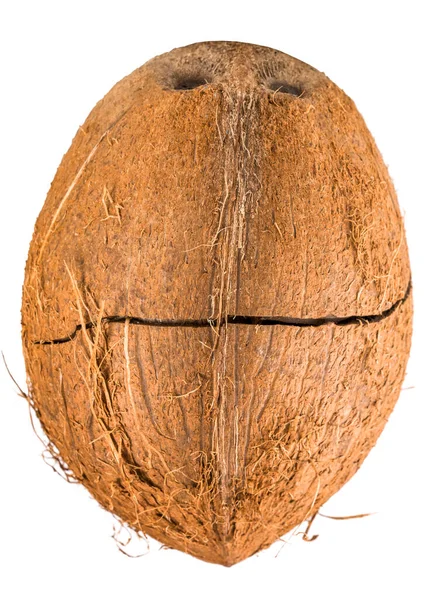 배경에는 꼬불꼬불 코코넛 — 스톡 사진