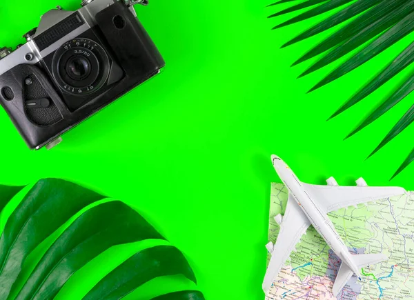 Zomer Reisconcept Oude Filmcamera Vliegtuigschelp Palmbladeren Groene Achtergrond — Stockfoto