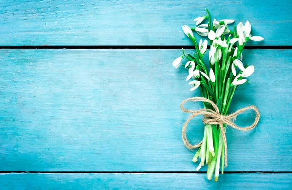 Snowdrops Blå Trä Bakgrund — Stockfoto