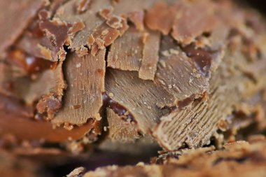 Seçimi en iyi Belçika çikolata